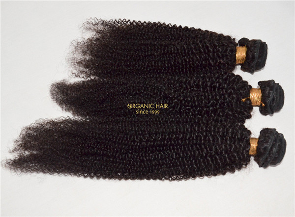 Virgin brazilian kinky curly hair extensions for USA market black women